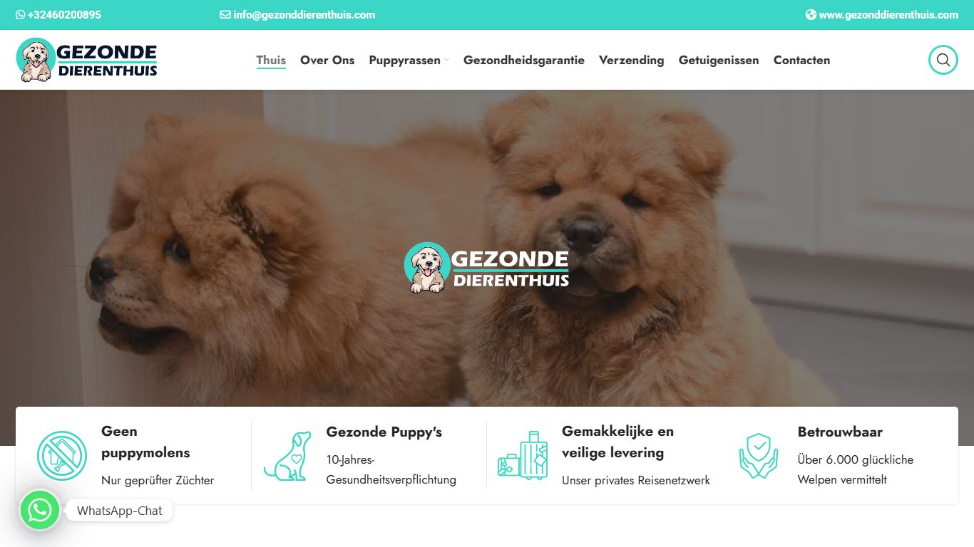 Gezonde Puppy's