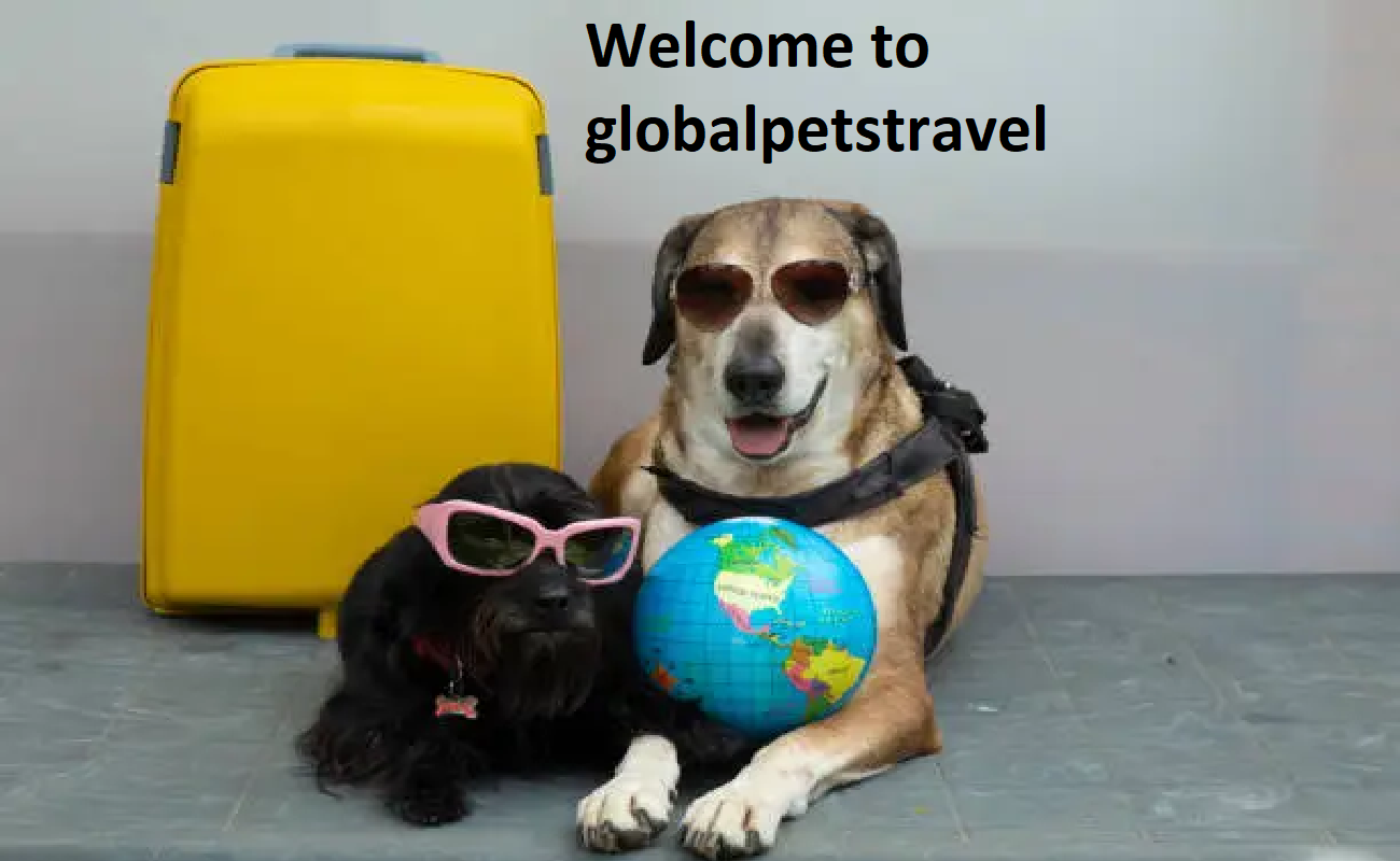 Instant Pet Relocators