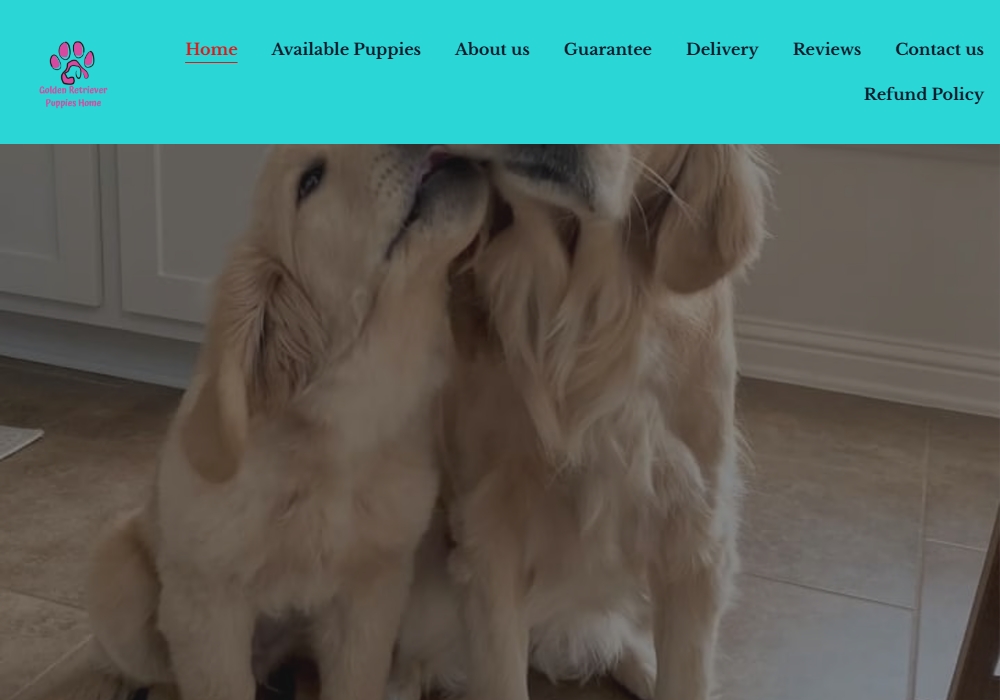 glwingsretrievers-com.jpg