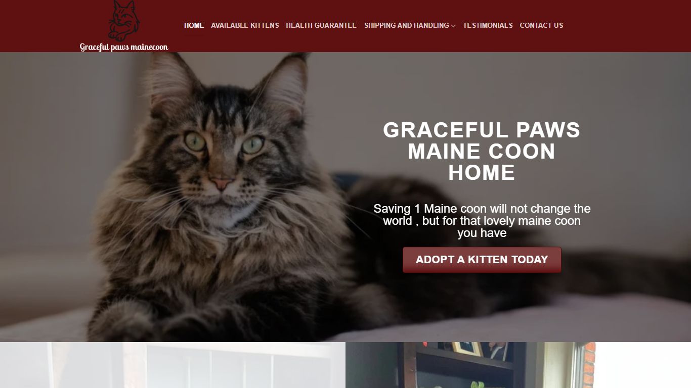 Graceful Paws Maine Coon Home Graceful Paws Maine Coon Home