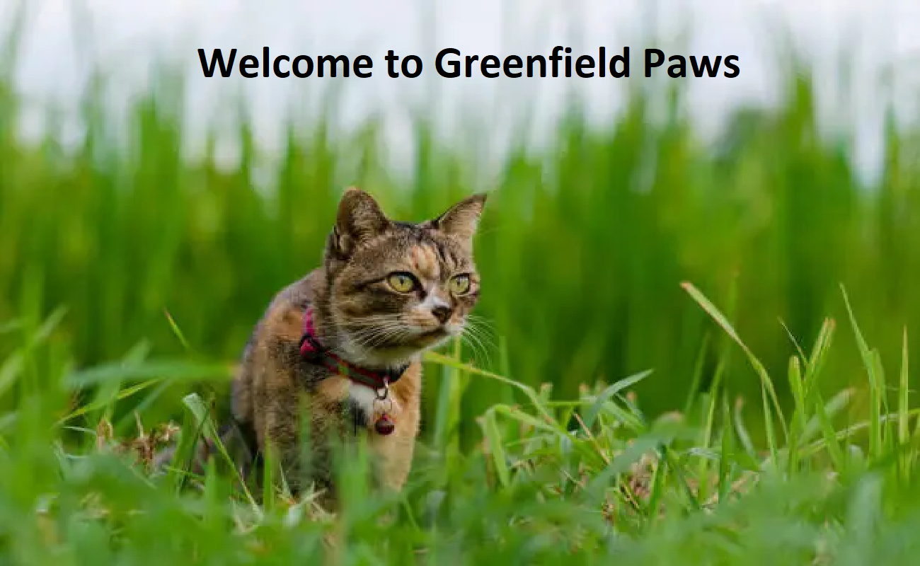 Greenfield Paws