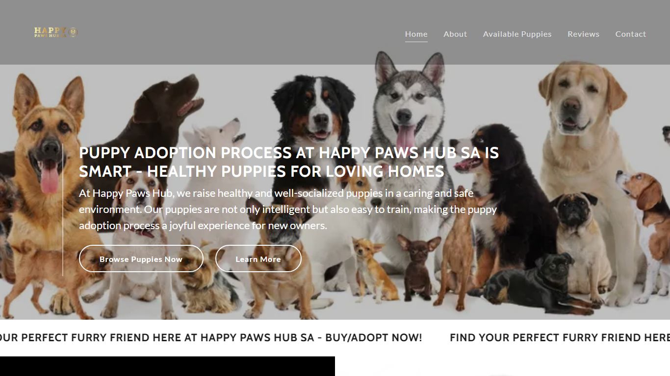 Happy Paws Hub SA