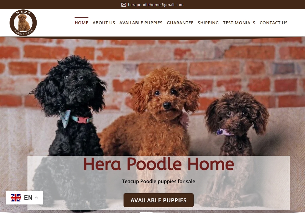 Hera Poodle Home
