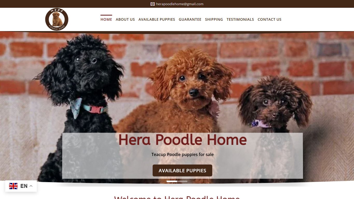Hera Poodle Home