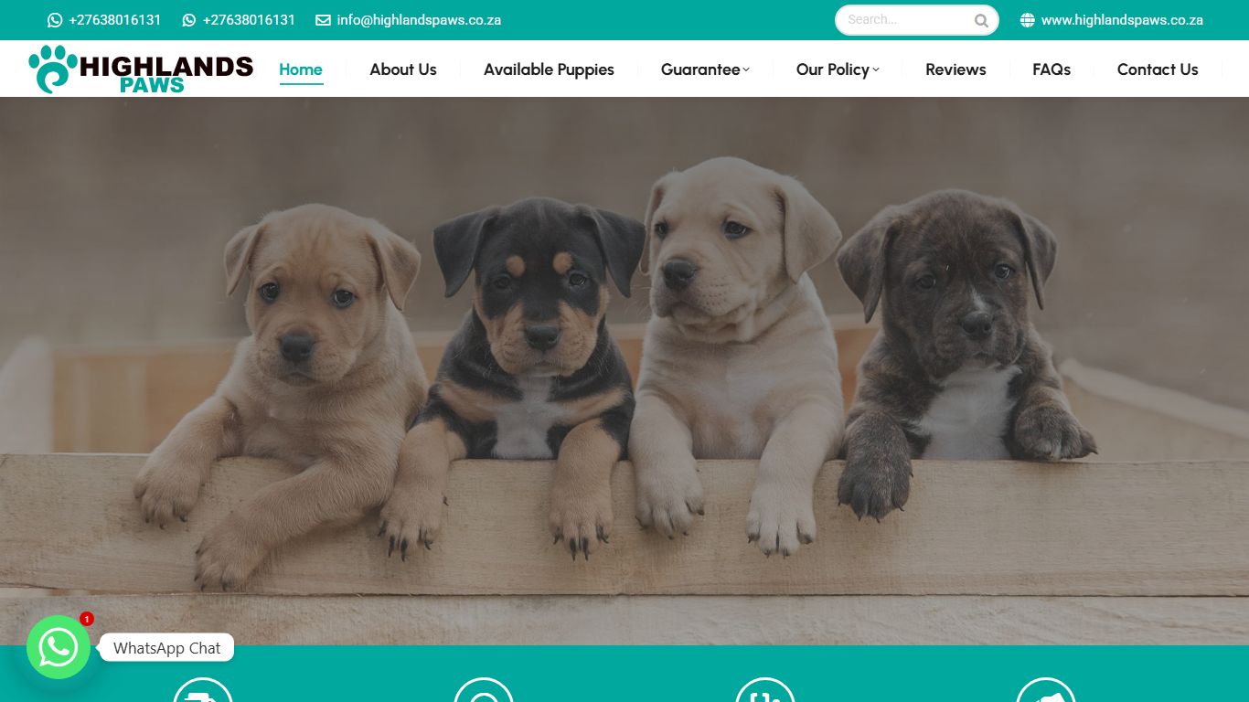 Highlands Paws Highlands Paws