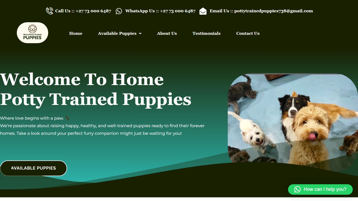 Home Potty Trained Puppies