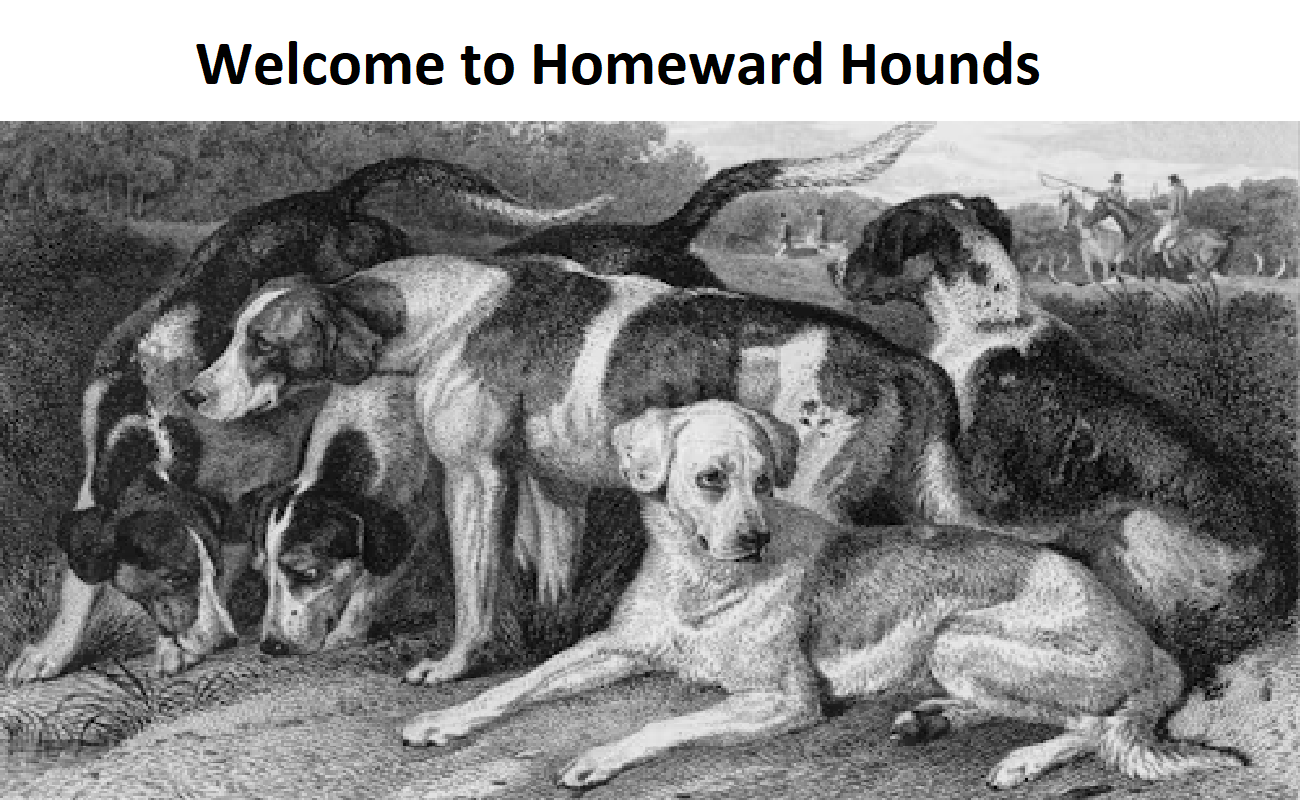 Homeward Hounds Homeward Hounds