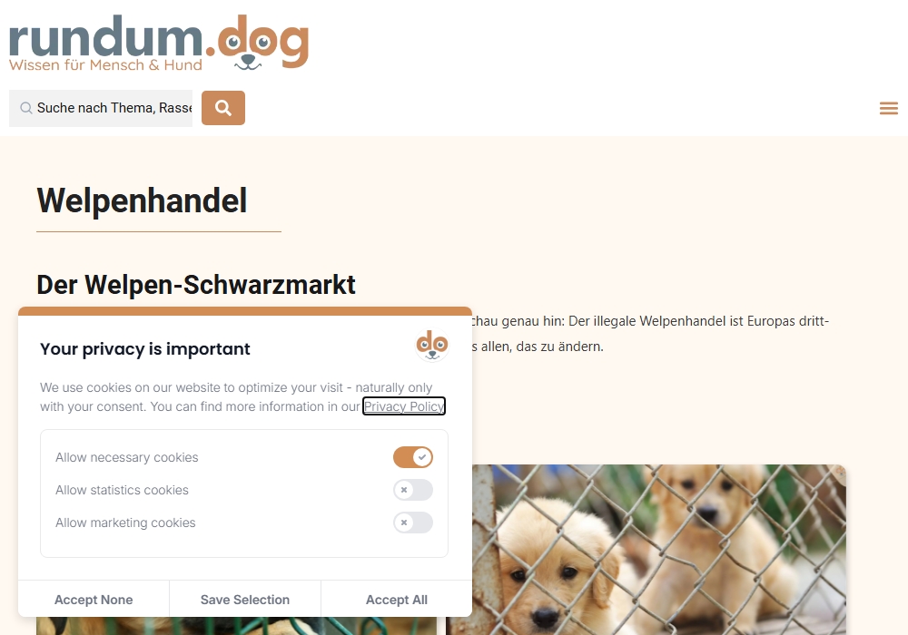 Hundewelpen zu Verkaufen