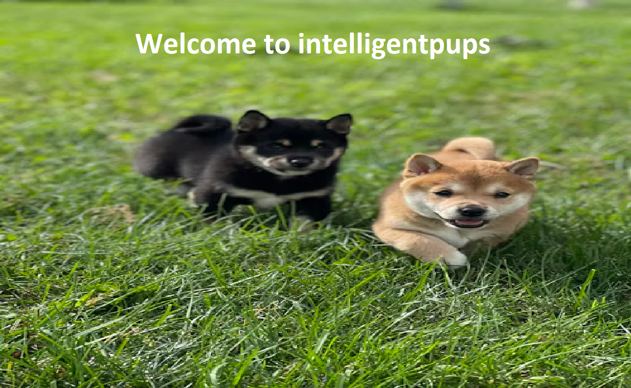 Intelligent Pups