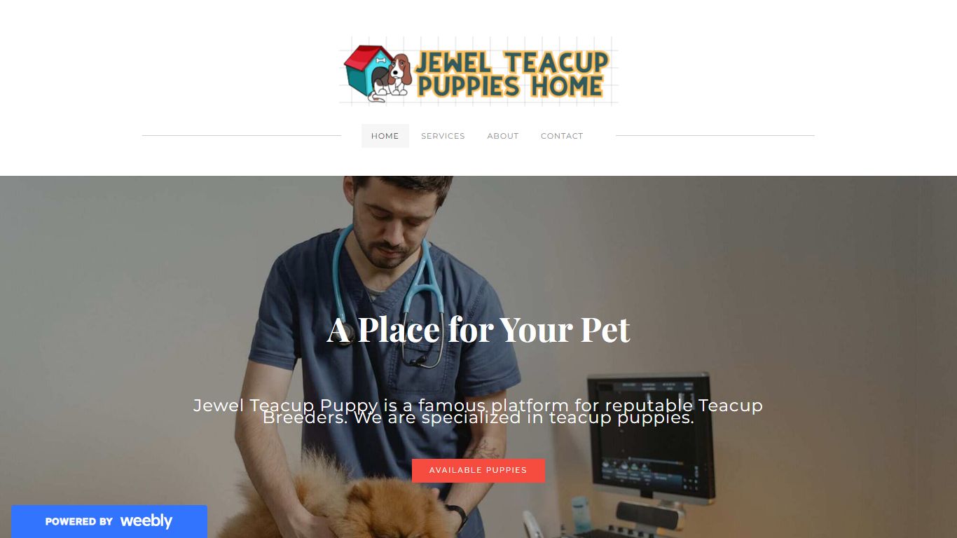 Jewel Teacup Puppies Home
