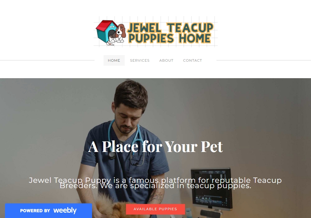 Jewel Teacup Puppies Home