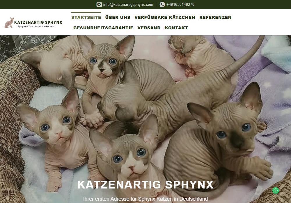 Katzenartig Sphynx