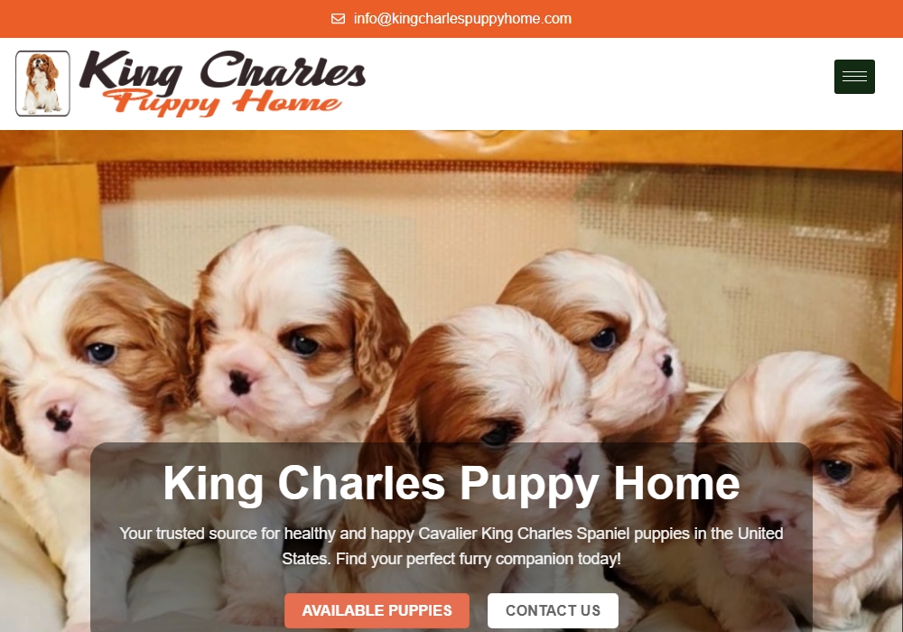 kingcharlespuppyhome-com.jpg