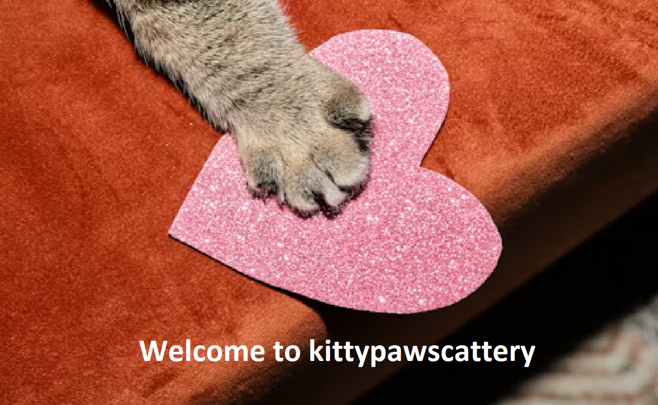 Kitty Paws Cattery