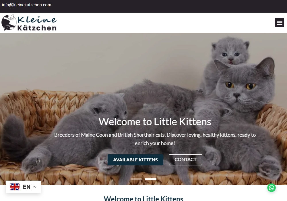 Kleine Katzchen Kleine Katzchen