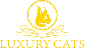 Luxury cats cattery