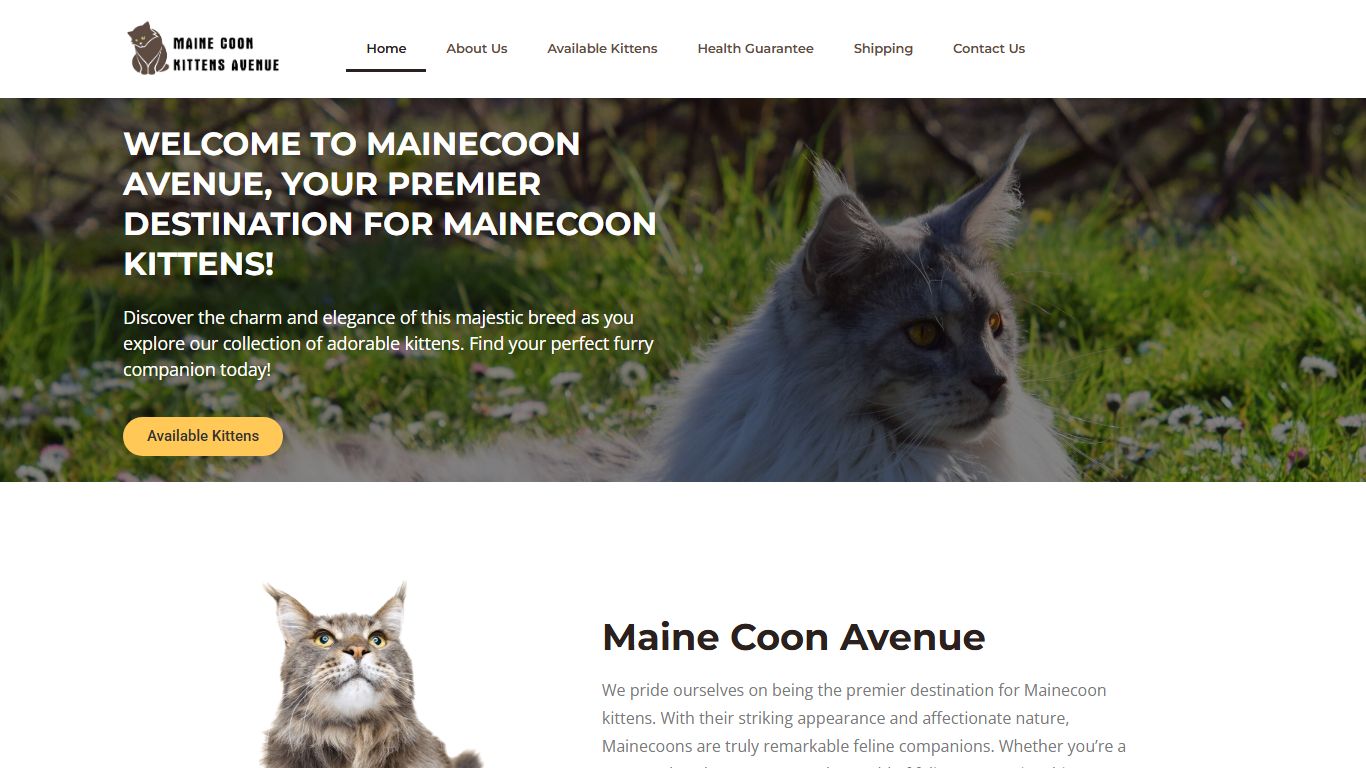 Mainecoon Avenue