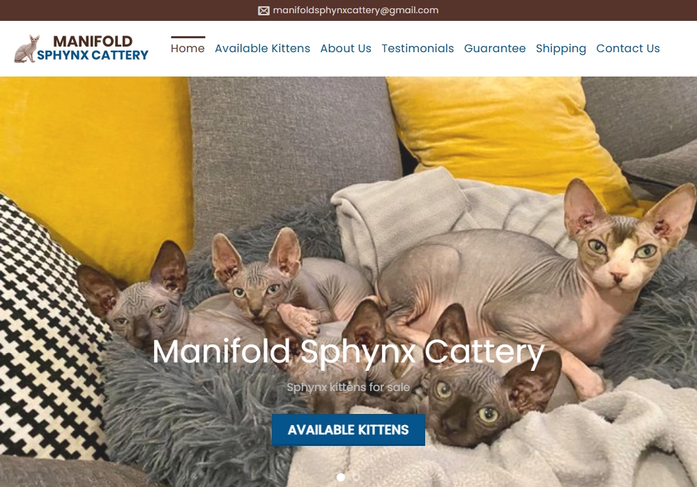 Manifold Sphynx Cattery
