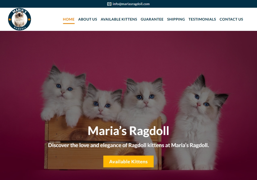 Maria's Ragdoll