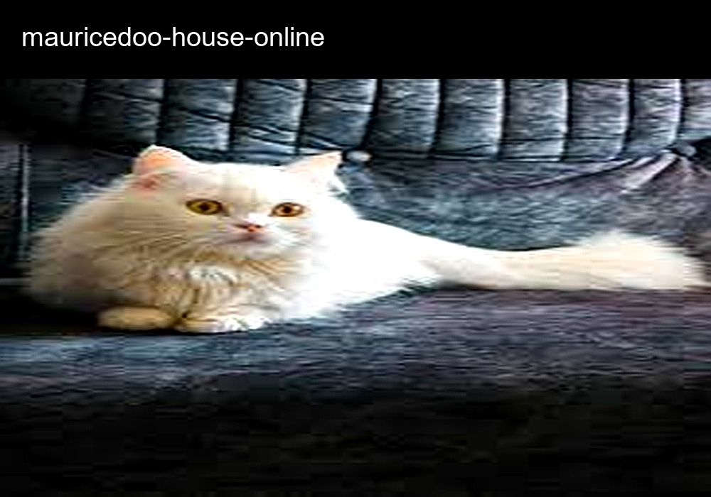 Maurice Doo-House