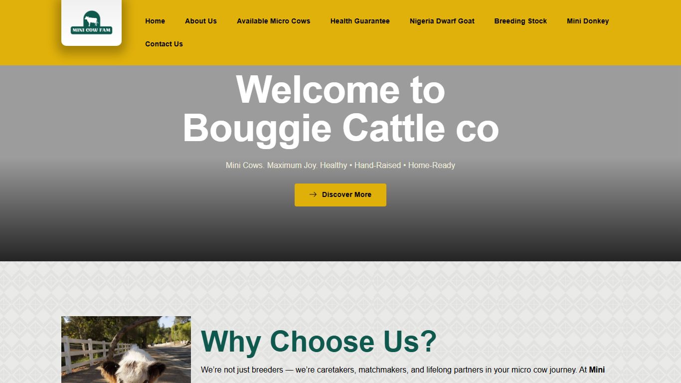 Mini Cow Fam Mini Cow Fam