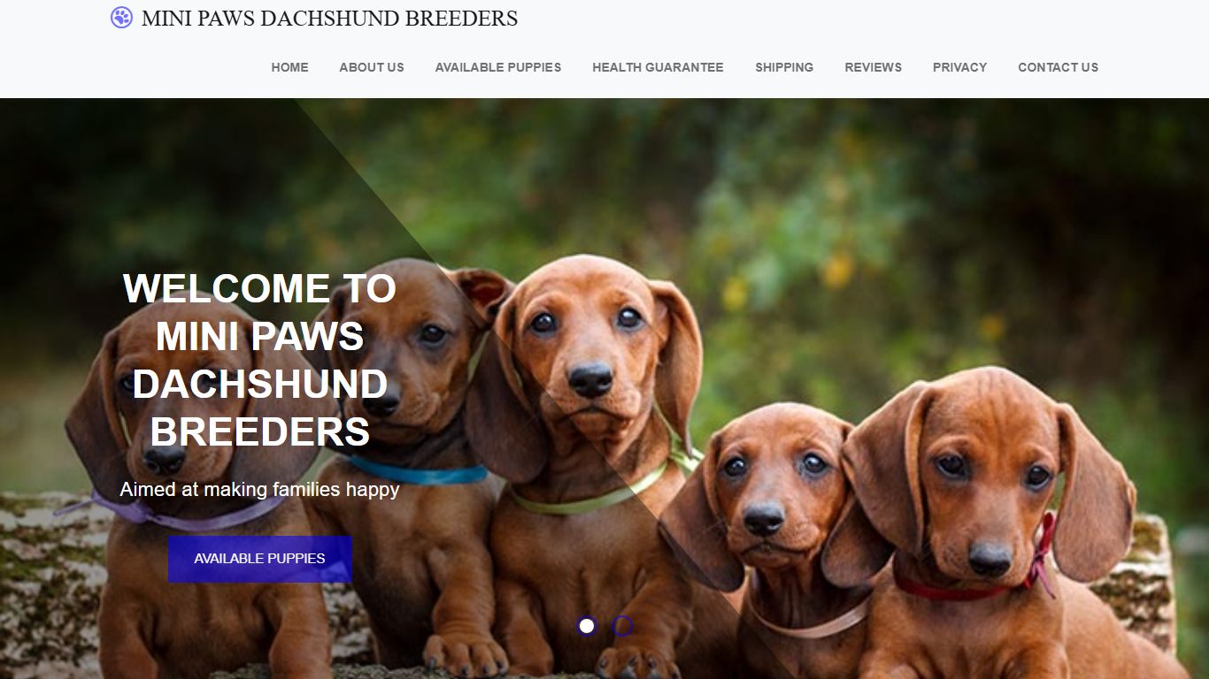 Mini Paws Dachshund Breeders