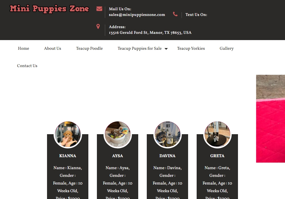 Mini Puppies Zone
