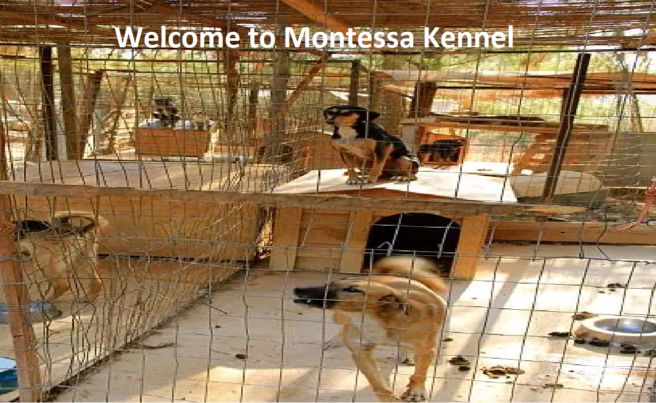 Montessa Kennel