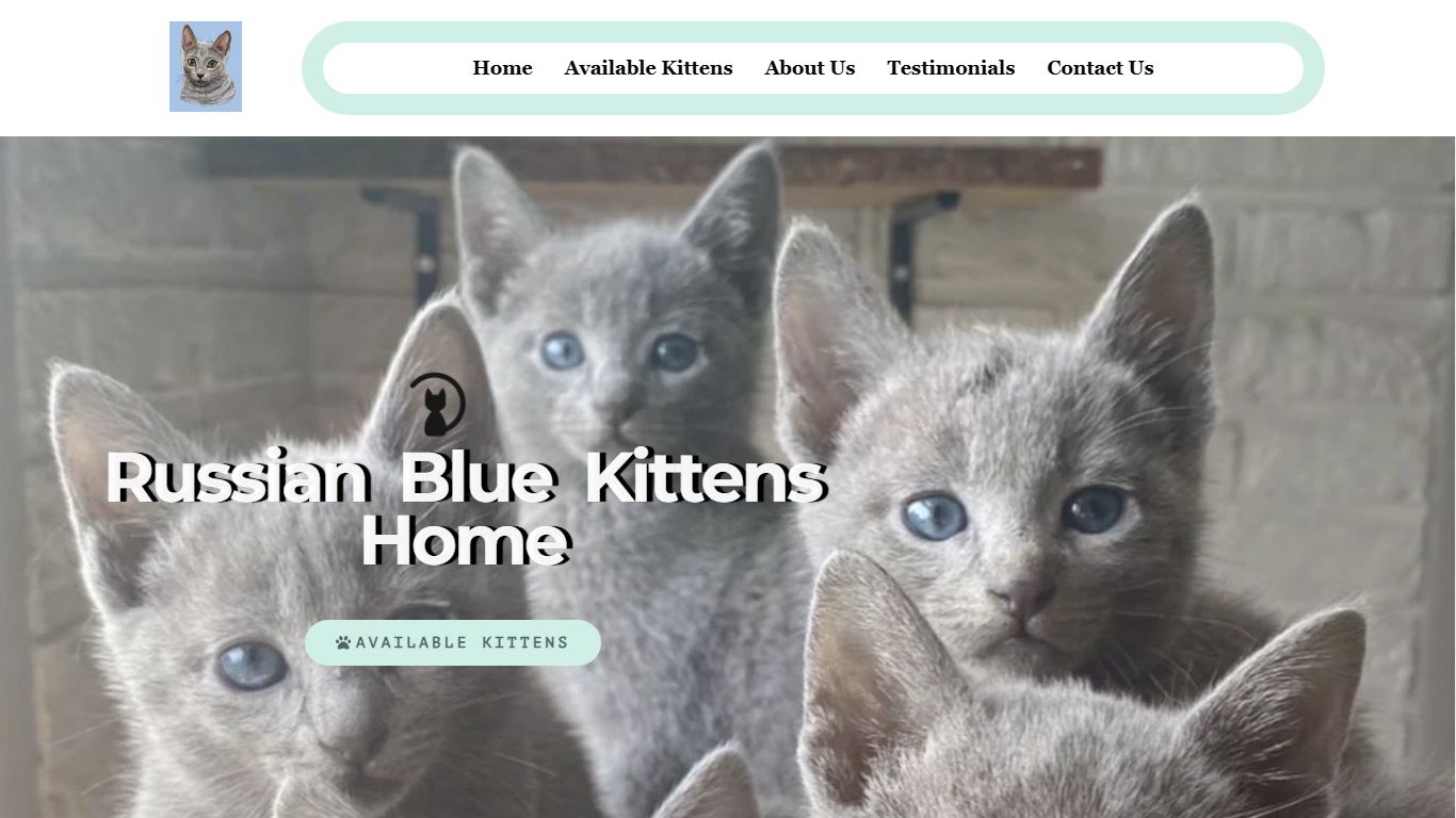 Russian Blue Kittens Home