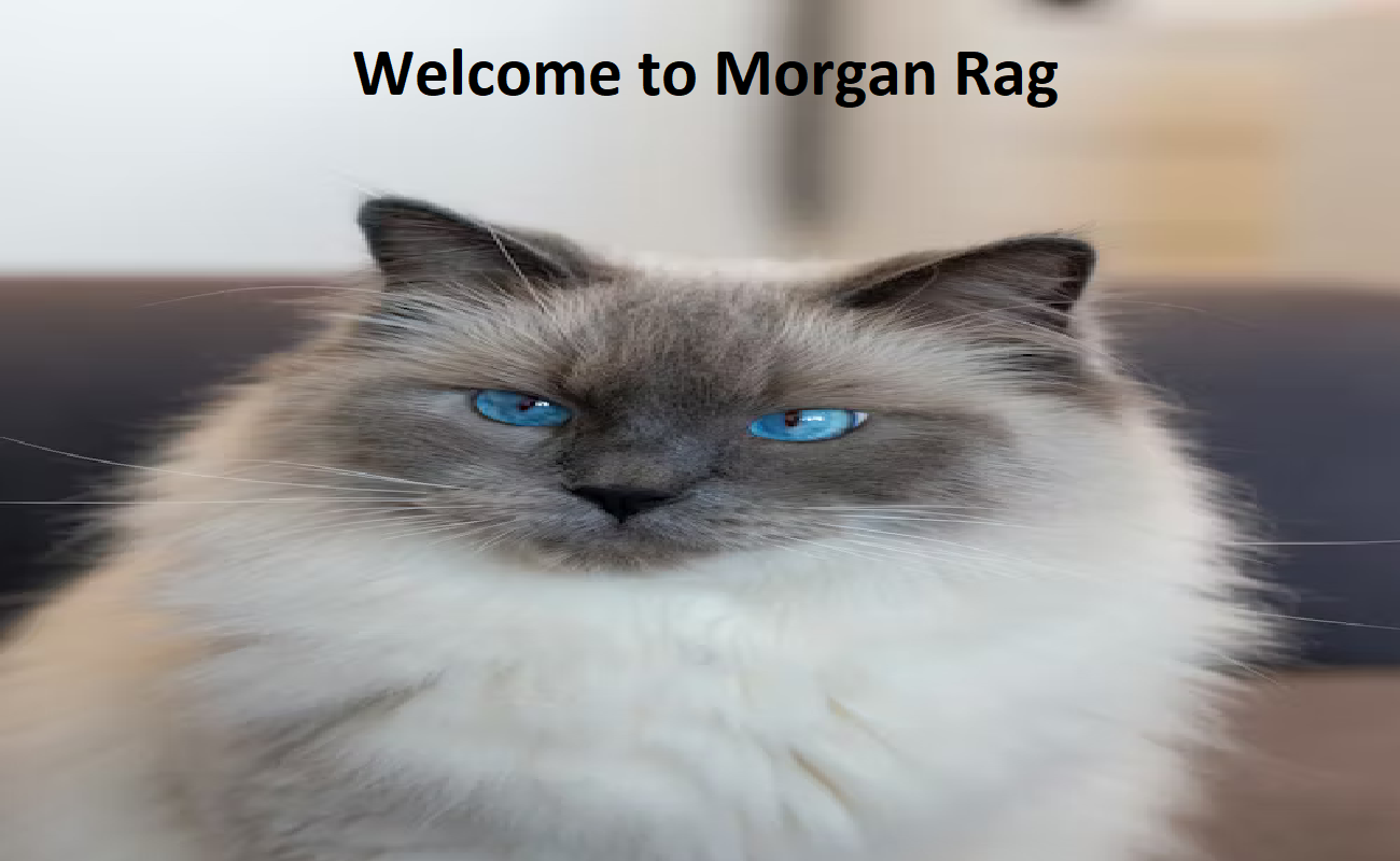 Junaid Rags /  Morgan Rags