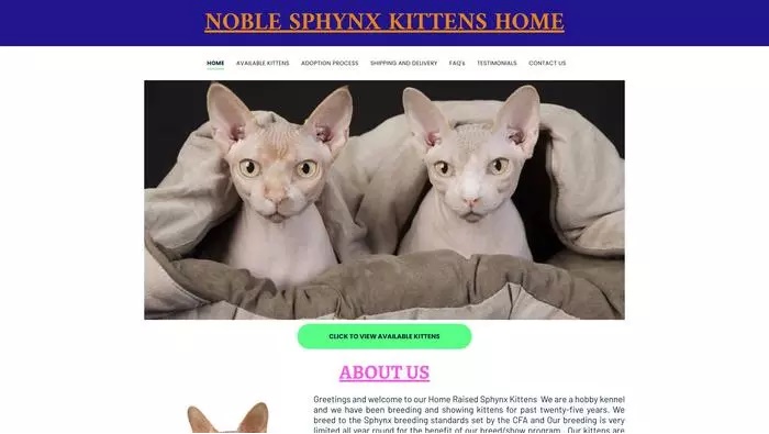 Noble sphynx kittens