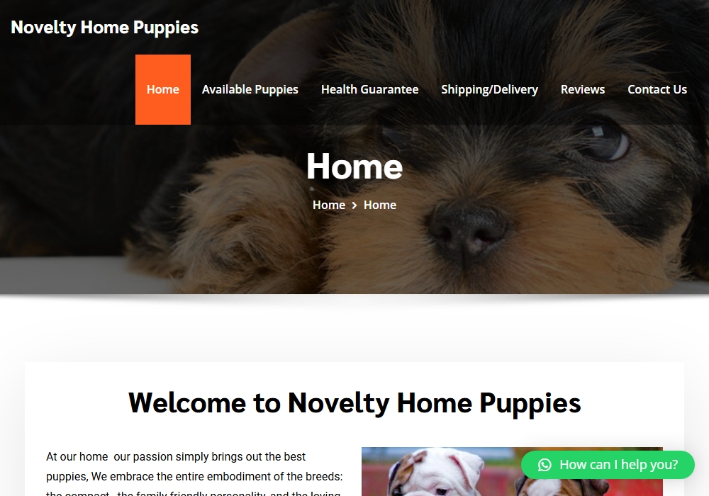 Novelty Home Puppies