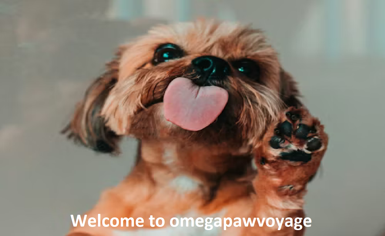 Omega Paw Voyage
