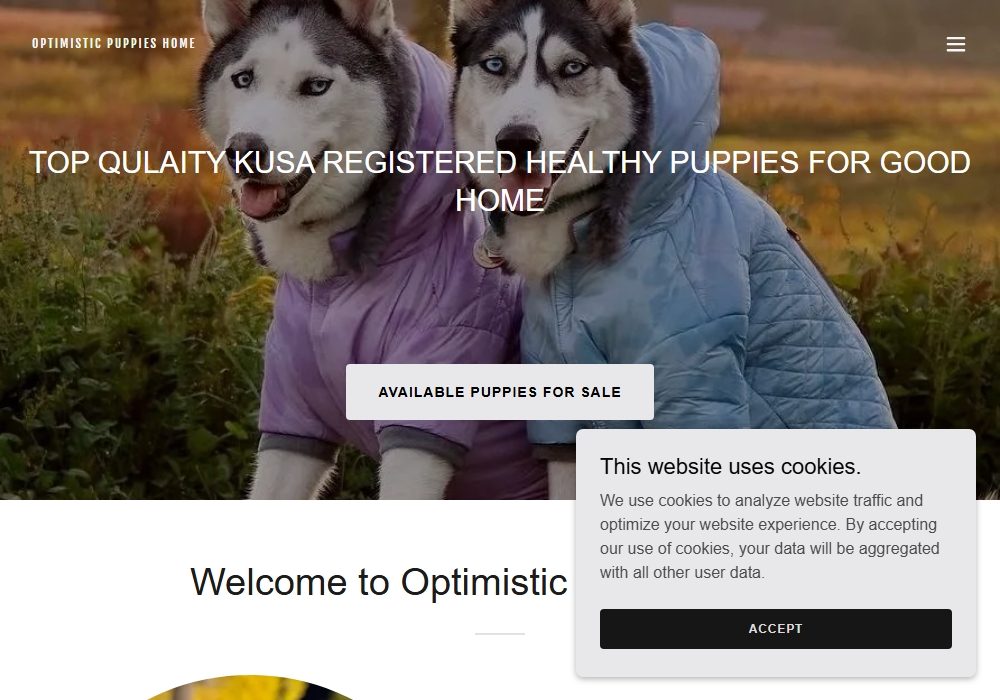 Wellyn-Optimistic Puppies Land