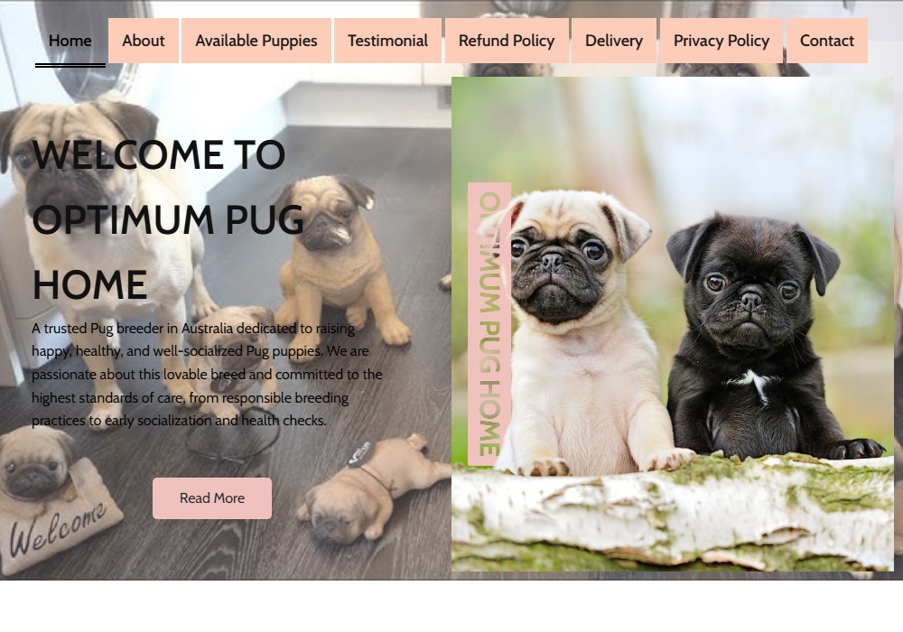 Optimum Pug Home