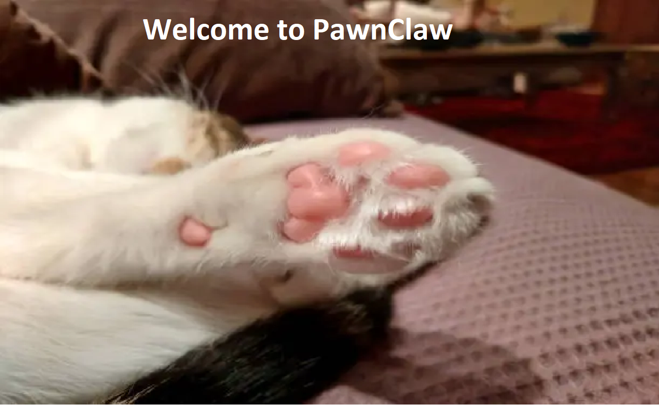 Paws & Claws Cattery