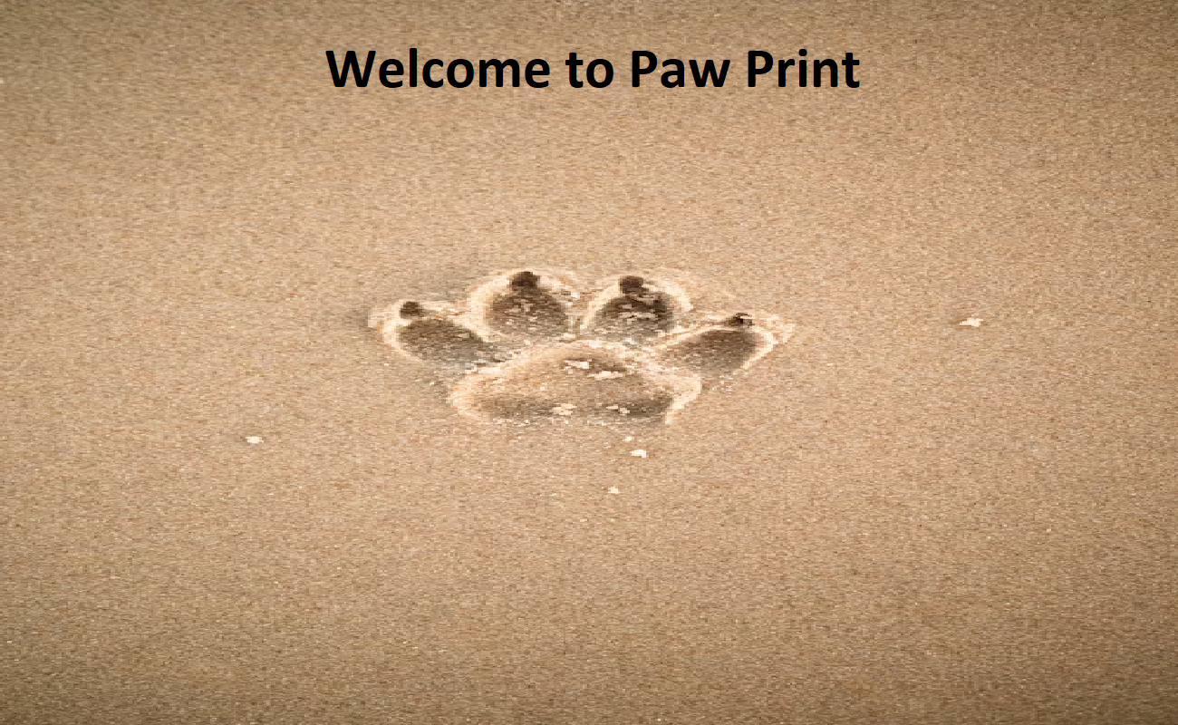 Paw Prints