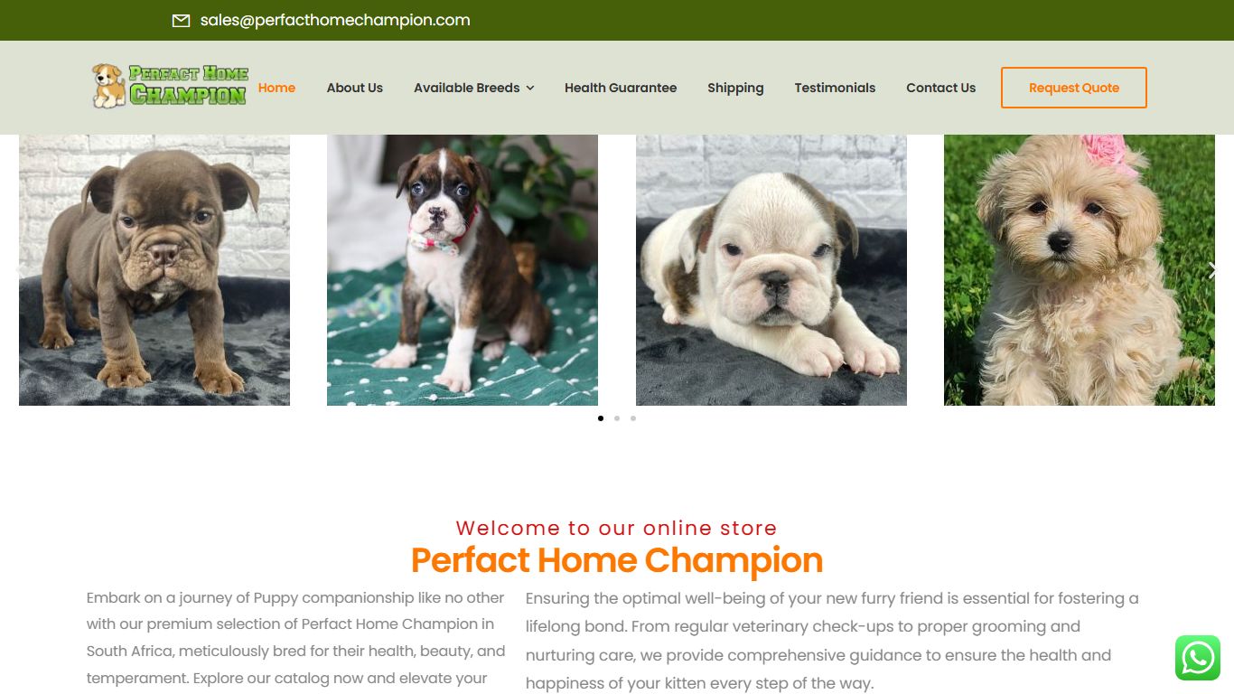 Perfact Home Champion Perfact Home Champion