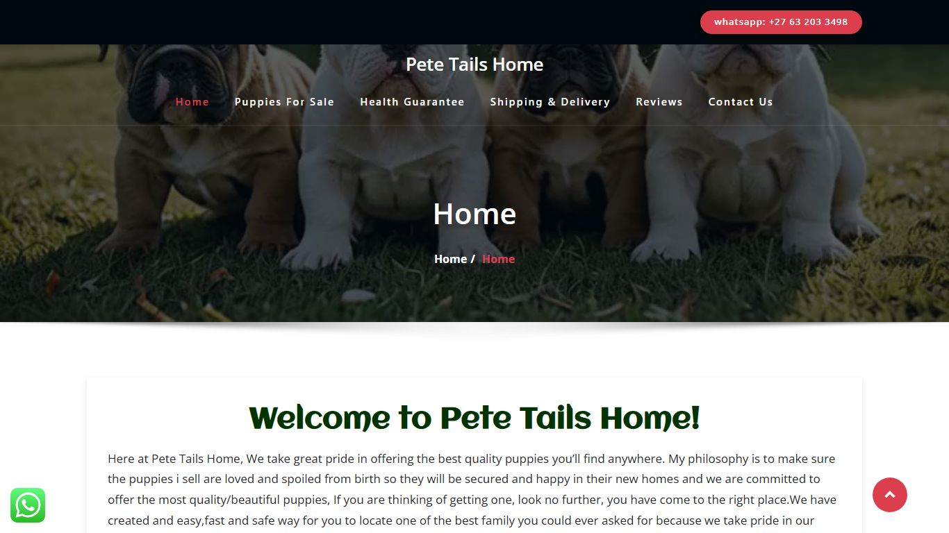 Pete Tails Home Pete Tails Home