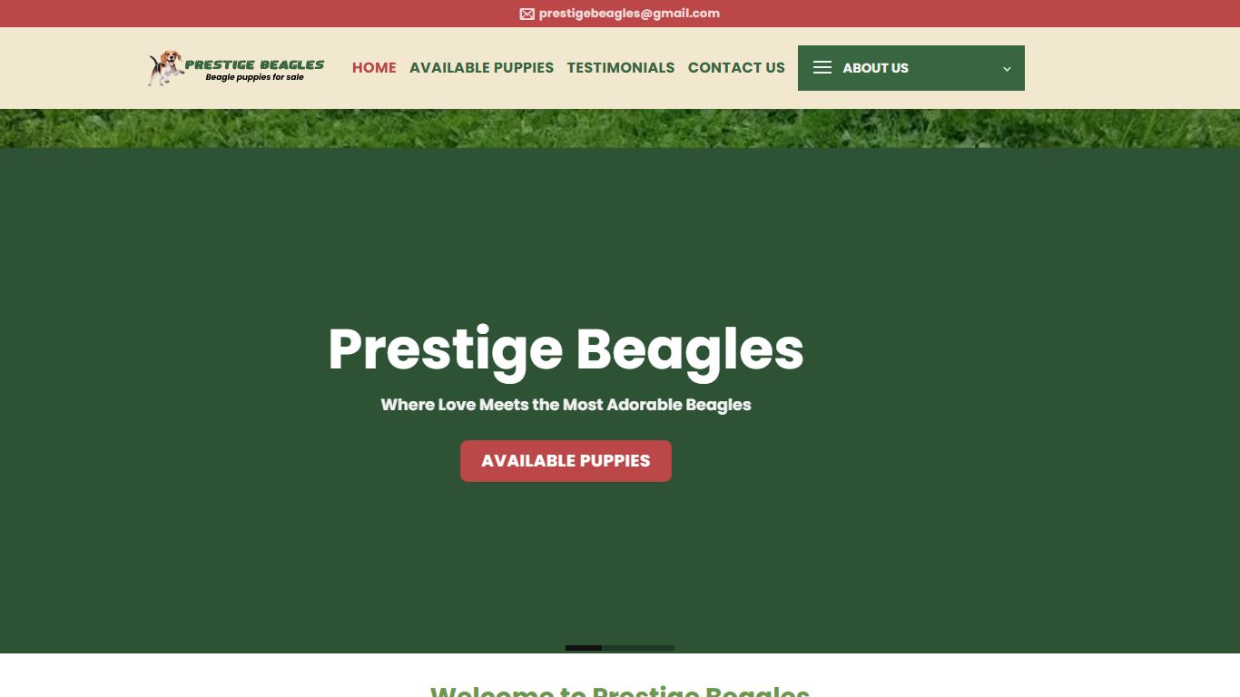 Prestige Beagles