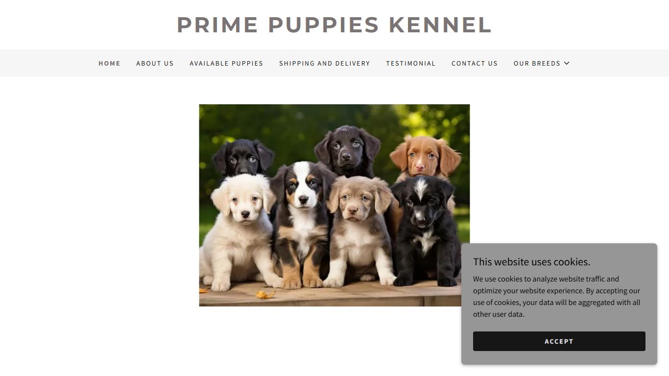 Prime Puppies Kennel