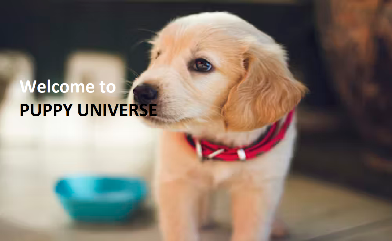 Puppy Universe