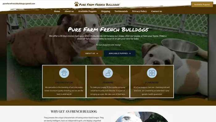 Pure farm french bull dogs
