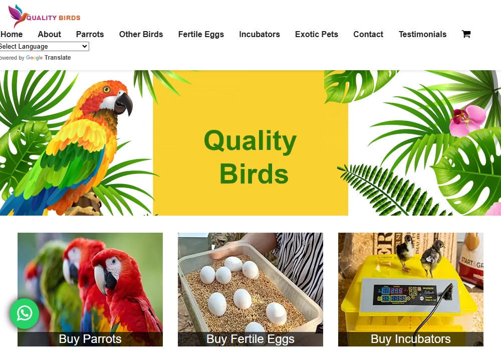 Quality Birds