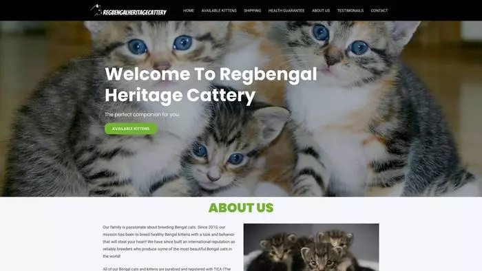 Reg bengal heritage cattery