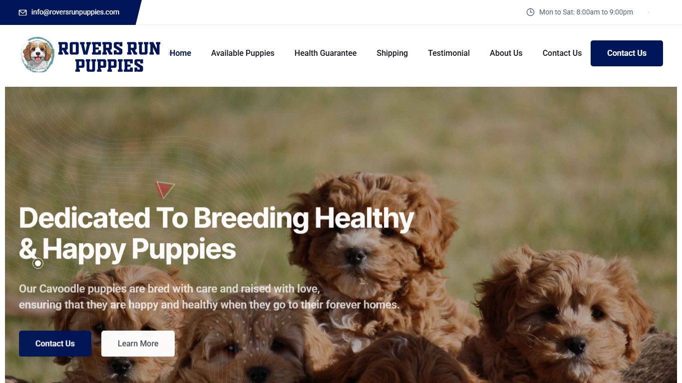 Rovers Run Puppies Rovers Run Puppies