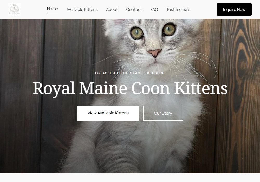 Royal Mainecoon Kittens Home