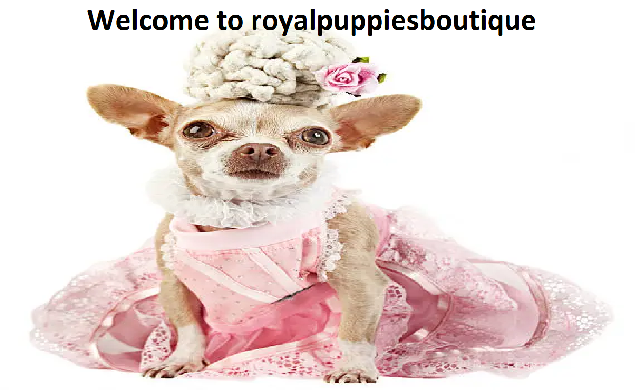 Royal Puppies Boutique