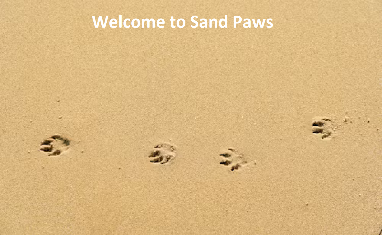 Sand Paws Sand Paws