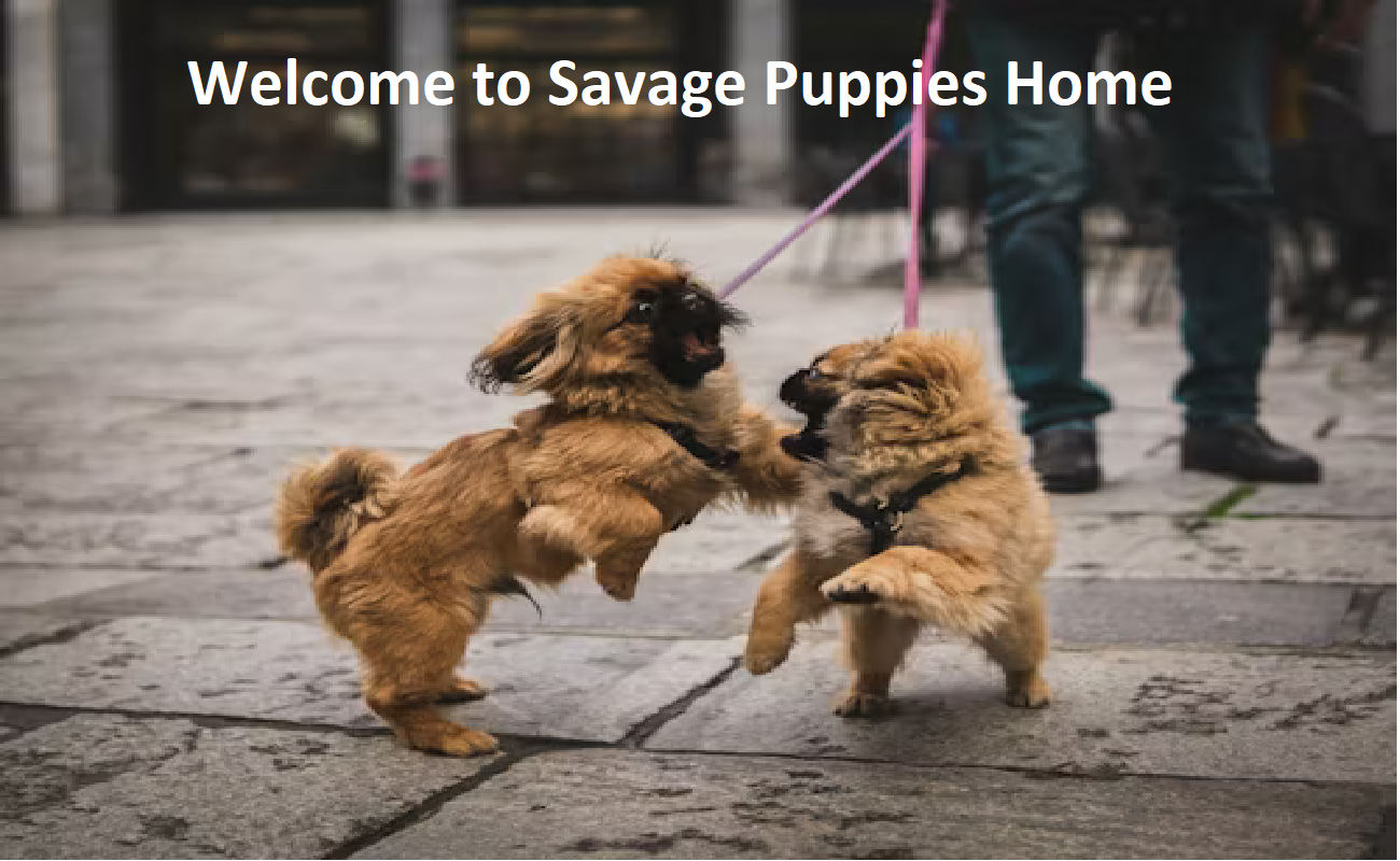 Savage Puppies Home